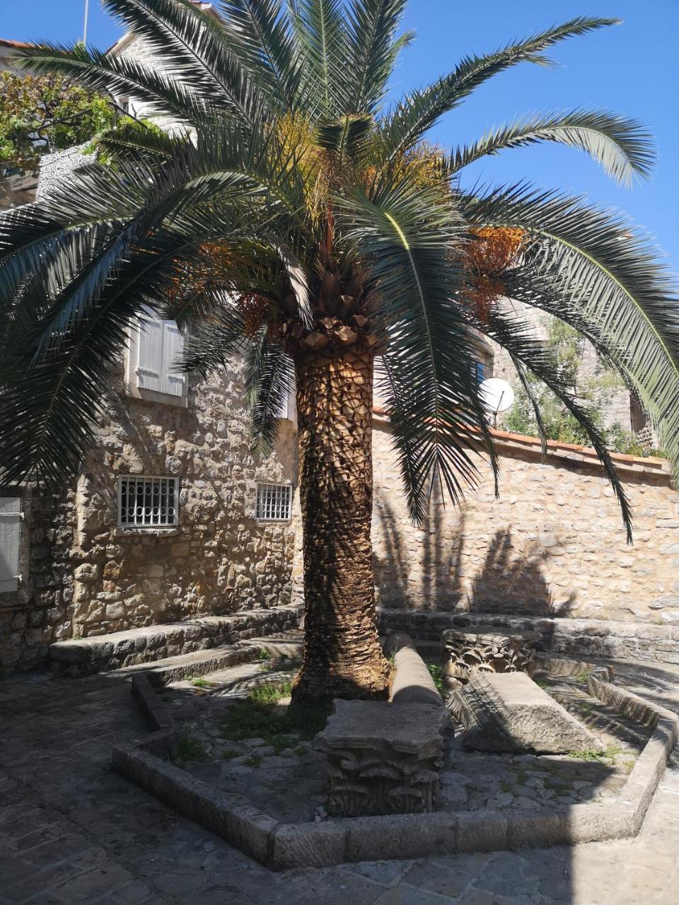 Hostel Michel Budva Ngoại thất bức ảnh